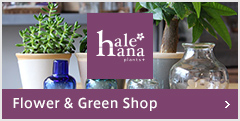 Flower & Green Shop：hale-hana Plants+