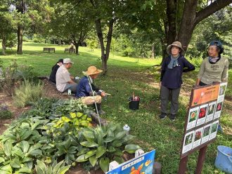 公園だより最新投稿写真