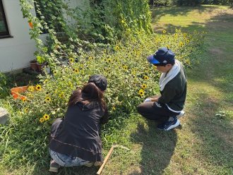公園だより最新投稿写真