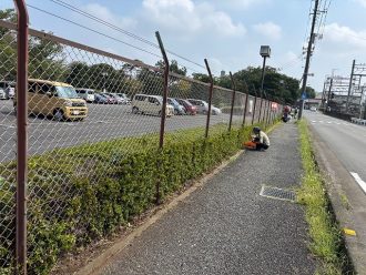 公園だより最新投稿写真