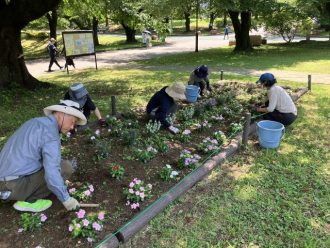 公園だより最新投稿写真