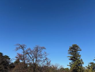 公園だより最新投稿写真