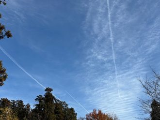 公園だより最新投稿写真