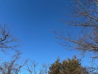 公園だより最新投稿写真