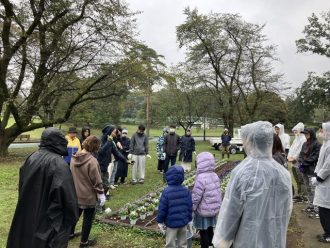 公園だより最新投稿写真