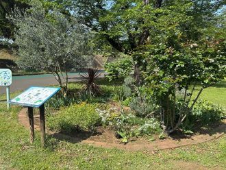 公園だより最新投稿写真