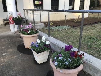 公園だより最新投稿写真