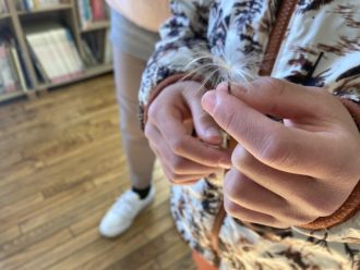 公園だより最新投稿写真