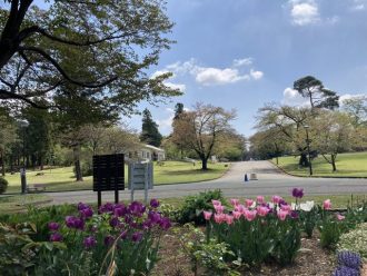 公園だより最新投稿写真