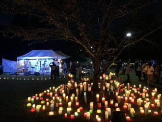 公園だより最新投稿写真