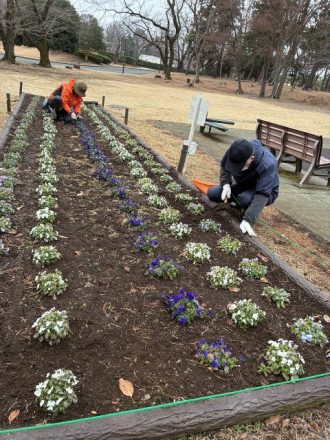 公園だより最新投稿写真