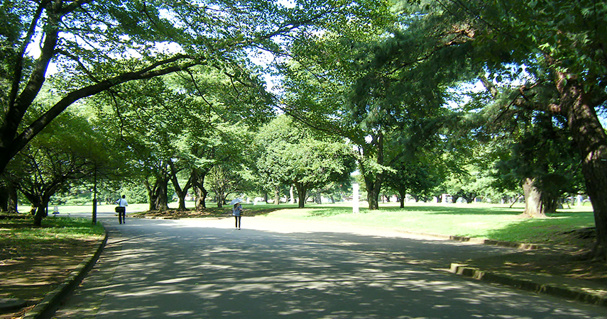 公園の写真4