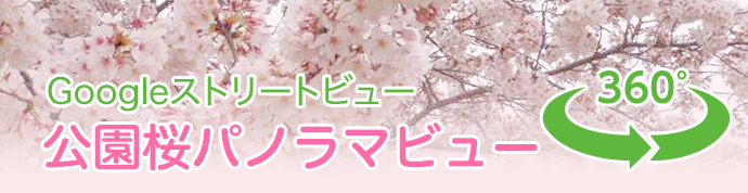 Googleストリートビュー：公園桜パノラマビュー