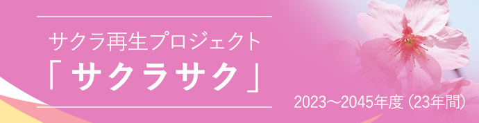 サクラ再生プロジェクト「サクラサク」