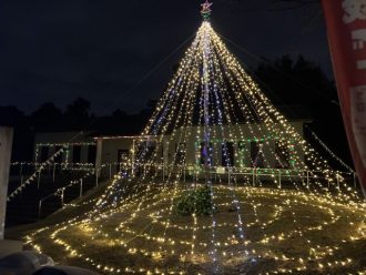 主催イベント:🎄Xmas ほっとイルミネーションを点灯中✨✨✨の画像