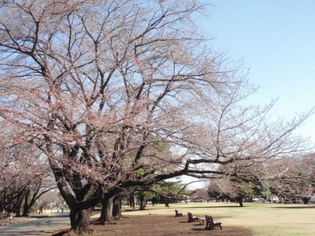 3/25撮影