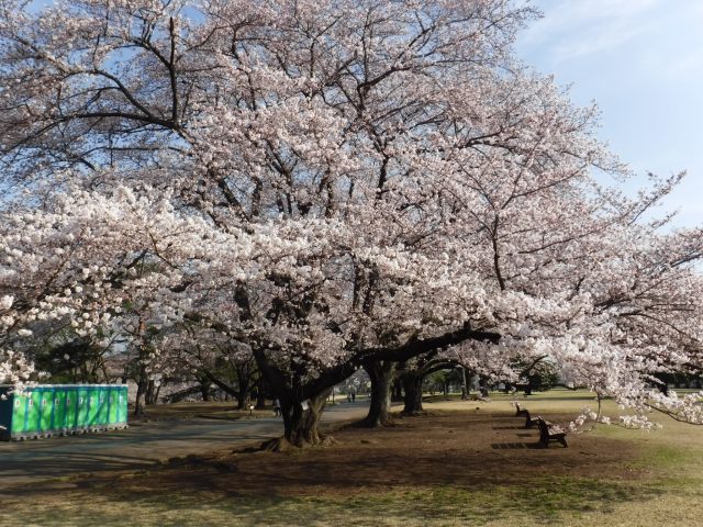 dscf2090