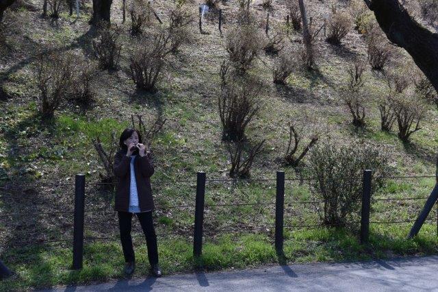「稲荷山かたくりの会」 撮影 写真提供