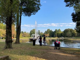 公園だより最新投稿写真