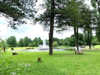 公園だより最新投稿写真
