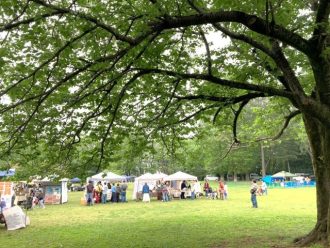 公園だより最新投稿写真
