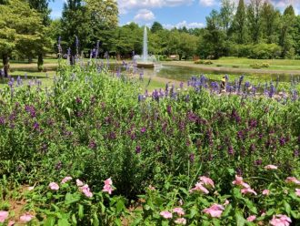 公園だより最新投稿写真