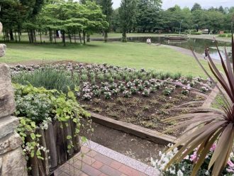公園だより最新投稿写真