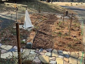 公園だより最新投稿写真