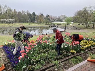 公園だより最新投稿写真