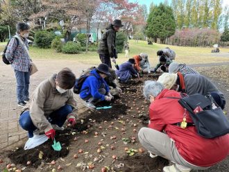 公園だより最新投稿写真