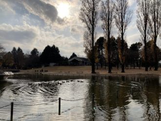 公園だより最新投稿写真