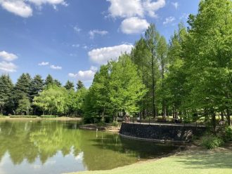 公園だより最新投稿写真