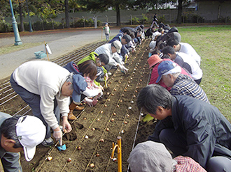 公園の写真