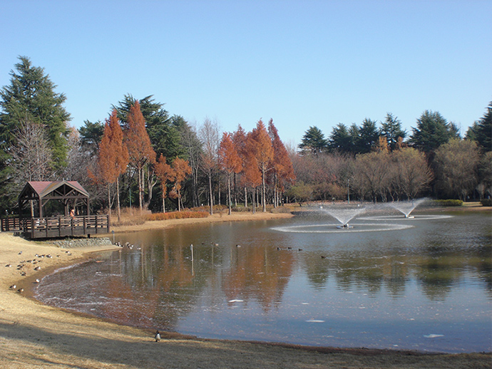 下池の写真