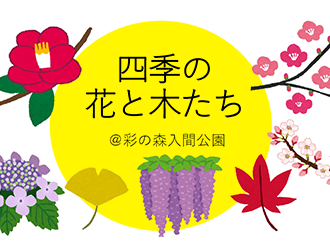 四季の花と木たち