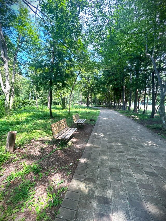 公園だより最新投稿写真