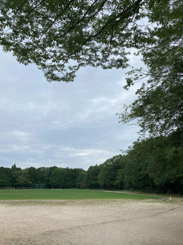 公園だより最新投稿写真