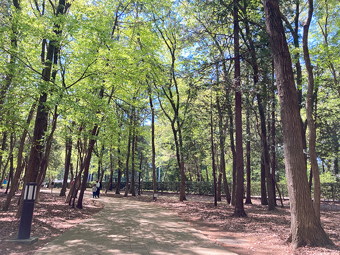 遊歩道の写真