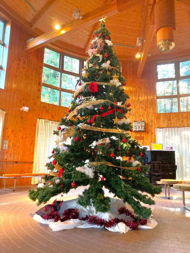 公園だより最新投稿写真