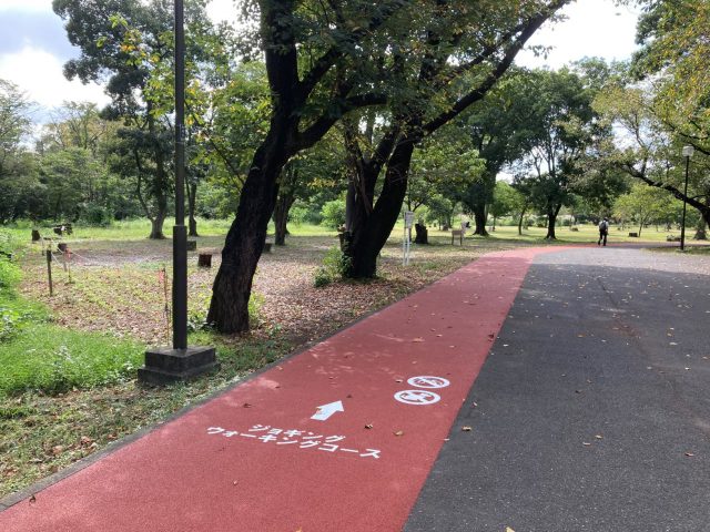公園だより 埼玉県営 和光樹林公園 新座緑道