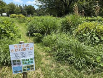 公園だより最新投稿写真