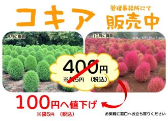 公園だより最新投稿写真
