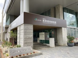 公園だより最新投稿写真