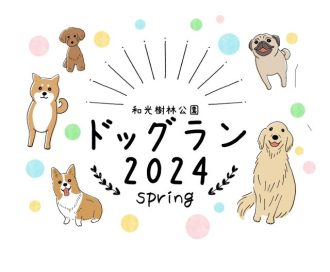 主催イベント：ドッグラン【2024春】の画像