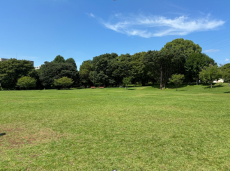 公園だより最新投稿写真