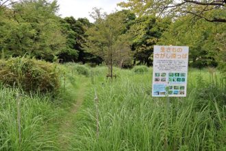 公園だより最新投稿写真