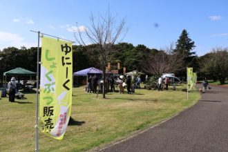 公園だより最新投稿写真