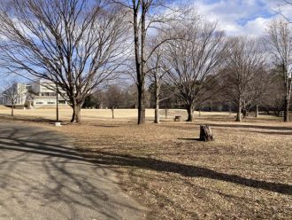 公園だより最新投稿写真