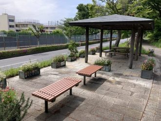 公園だより最新投稿写真