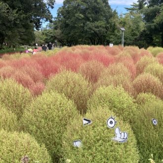 公園だより最新投稿写真